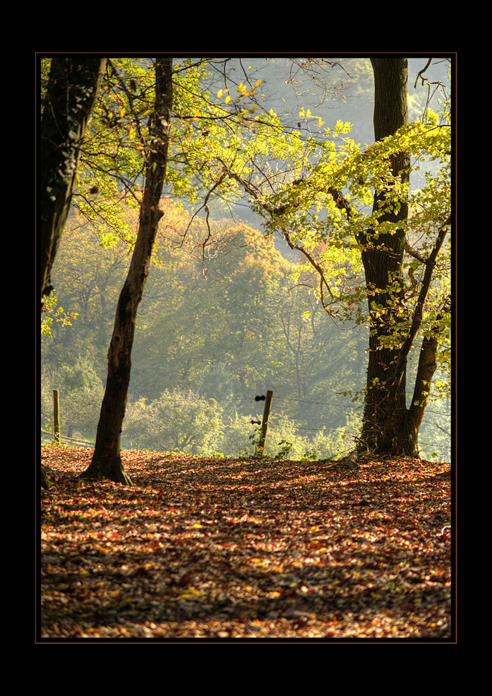 Herbstspiel (3)