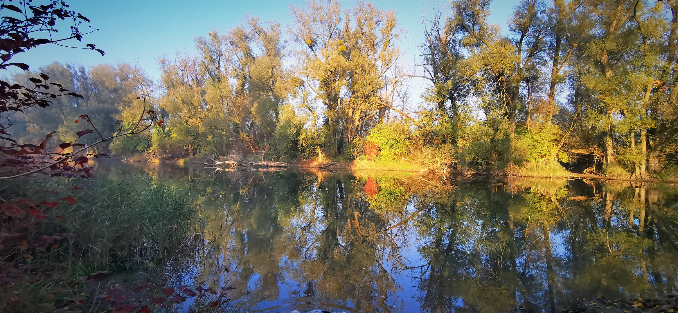 Herbst...Spiel mit den Farben