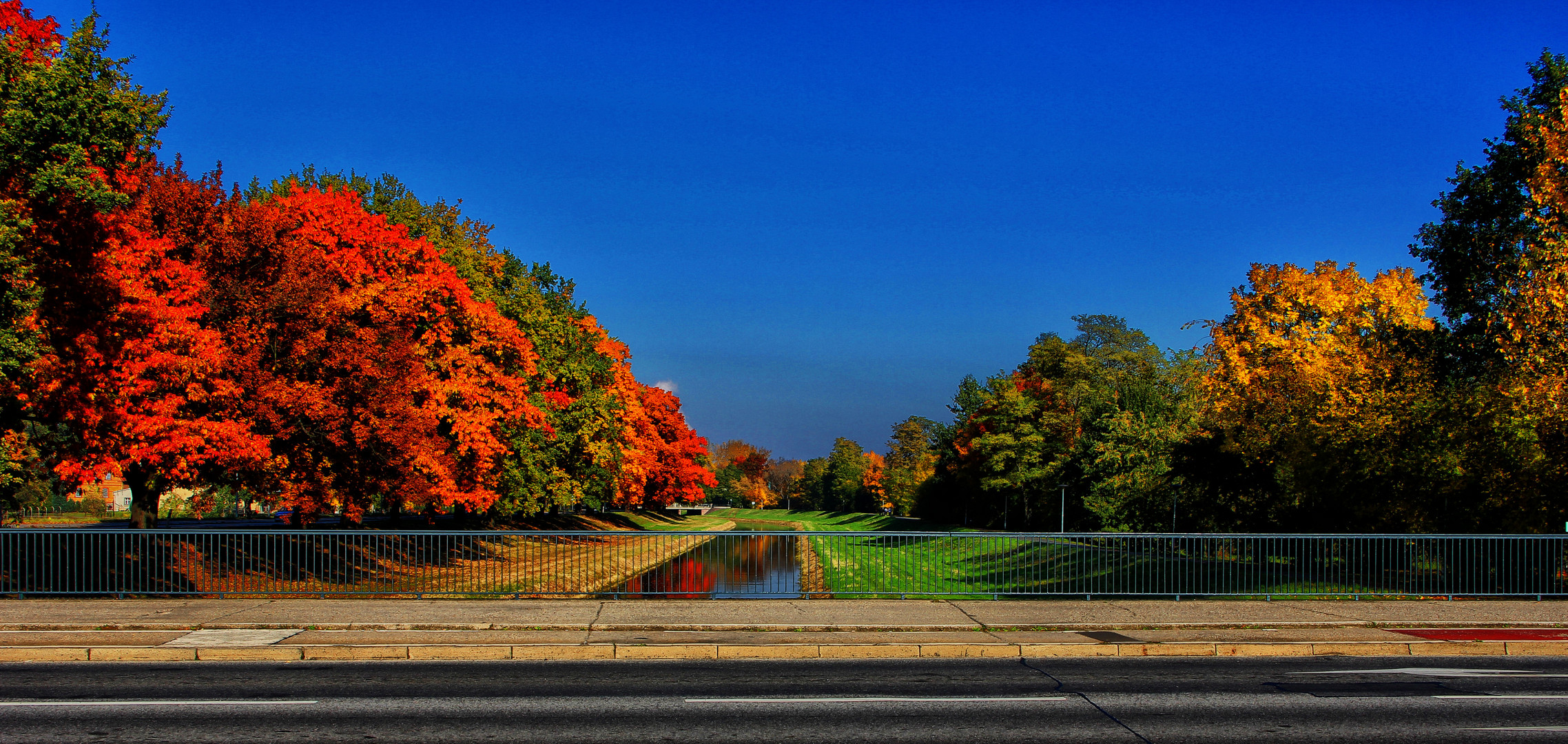 Herbstspiel und Schwarze Elster