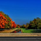 Herbstspiel und Schwarze Elster