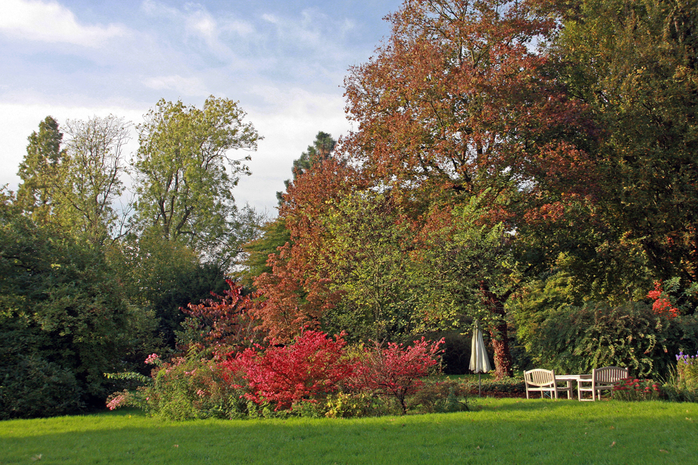 Herbstspielerei 1