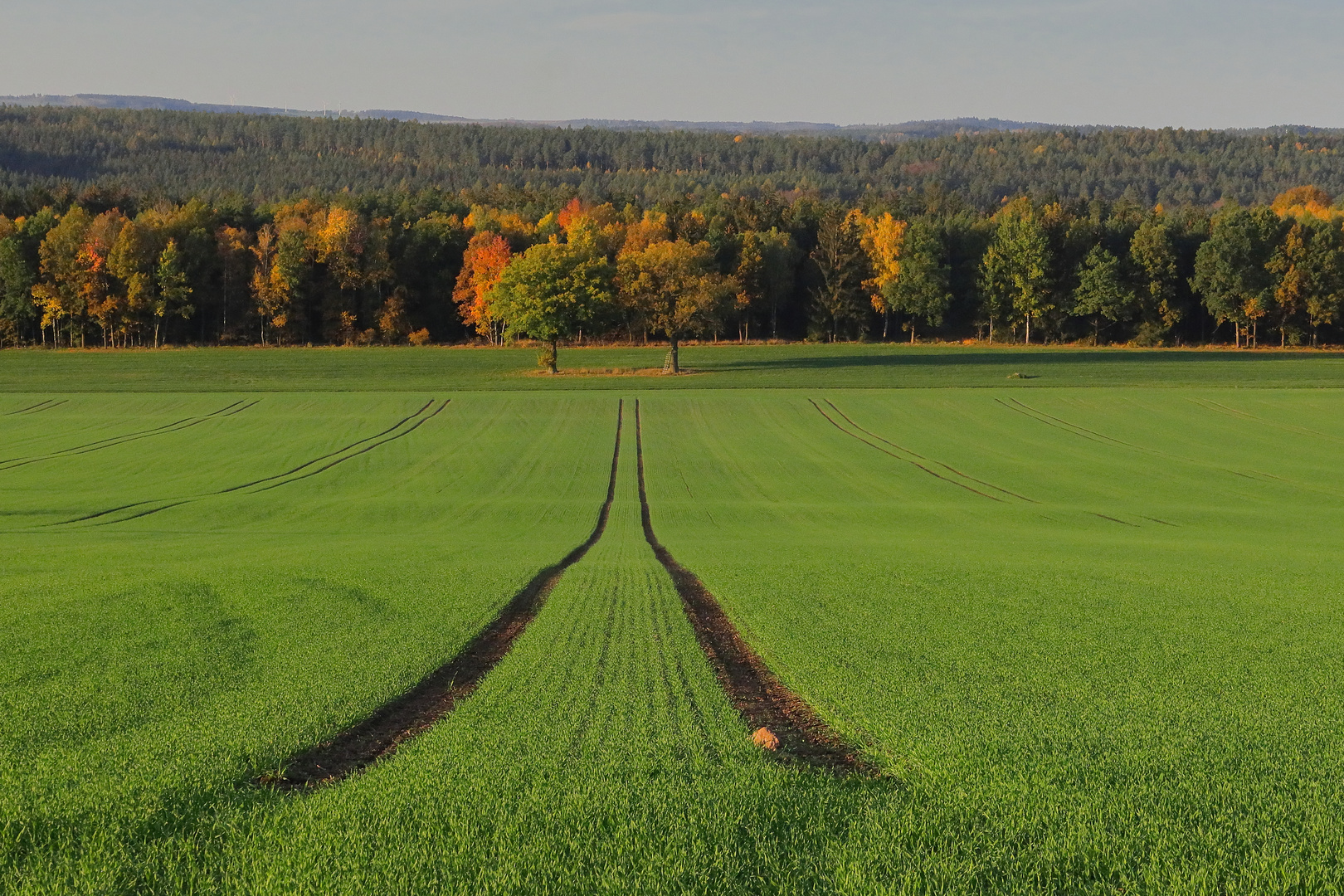 Herbstspur...