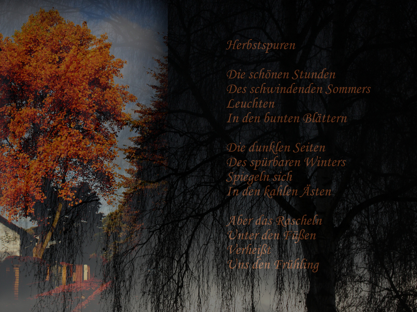 Herbstspuren