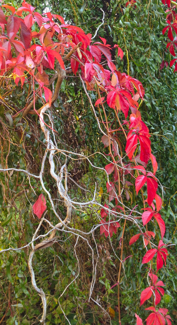 Herbstspuren