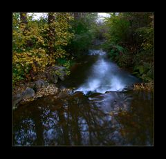 Herbstspuren