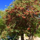 Herbstspuren auch auf dem Balkan