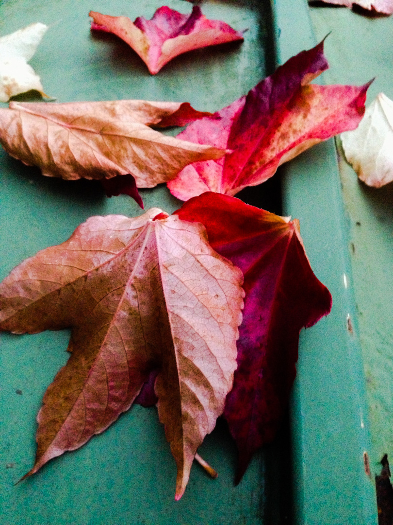 Herbstspuren