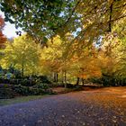 Herbstspziergang