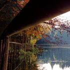 Herbststag am Weiher