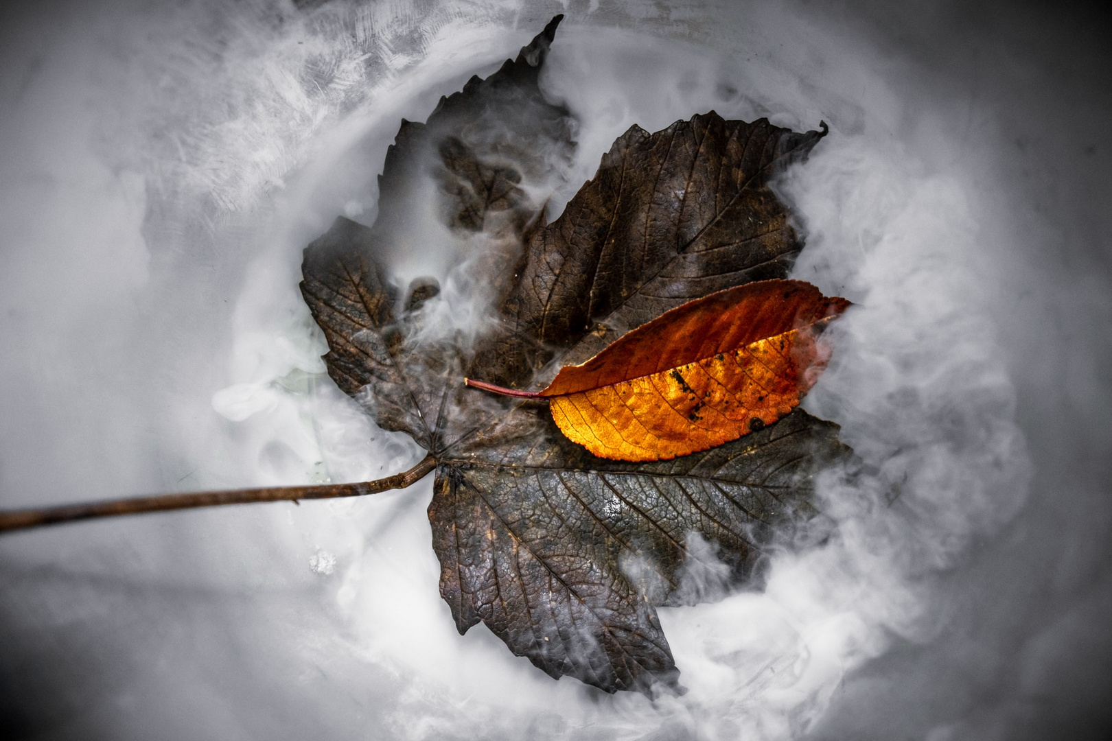 Herbststaub 