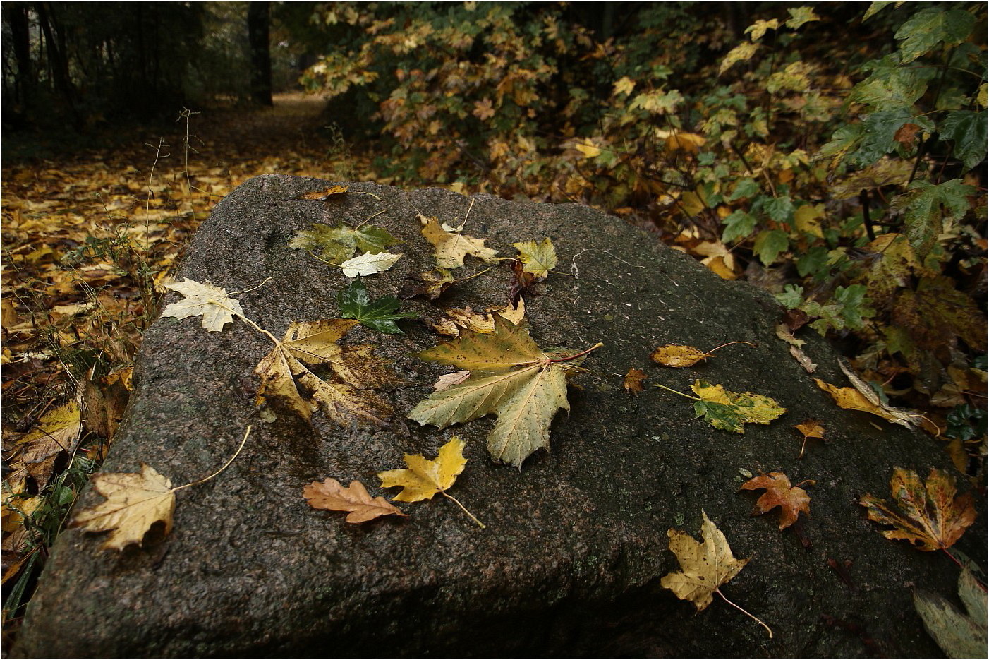 Herbststein