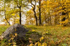 Herbst_Stein