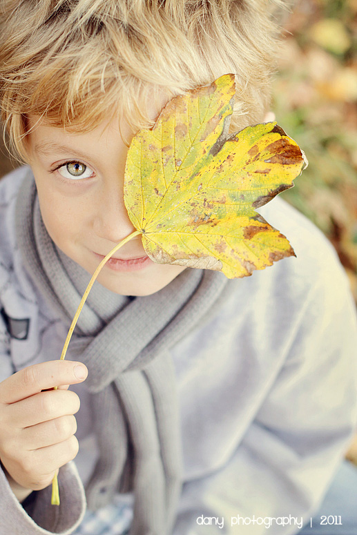 **Herbst**Stern**