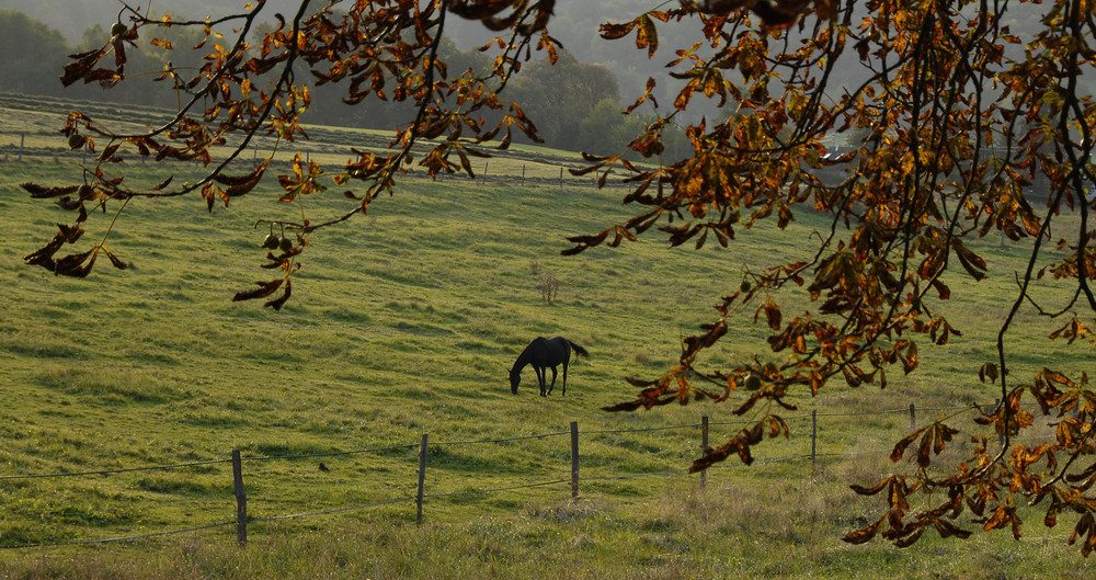 Herbststille