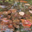 Herbststille