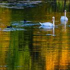 Herbststille