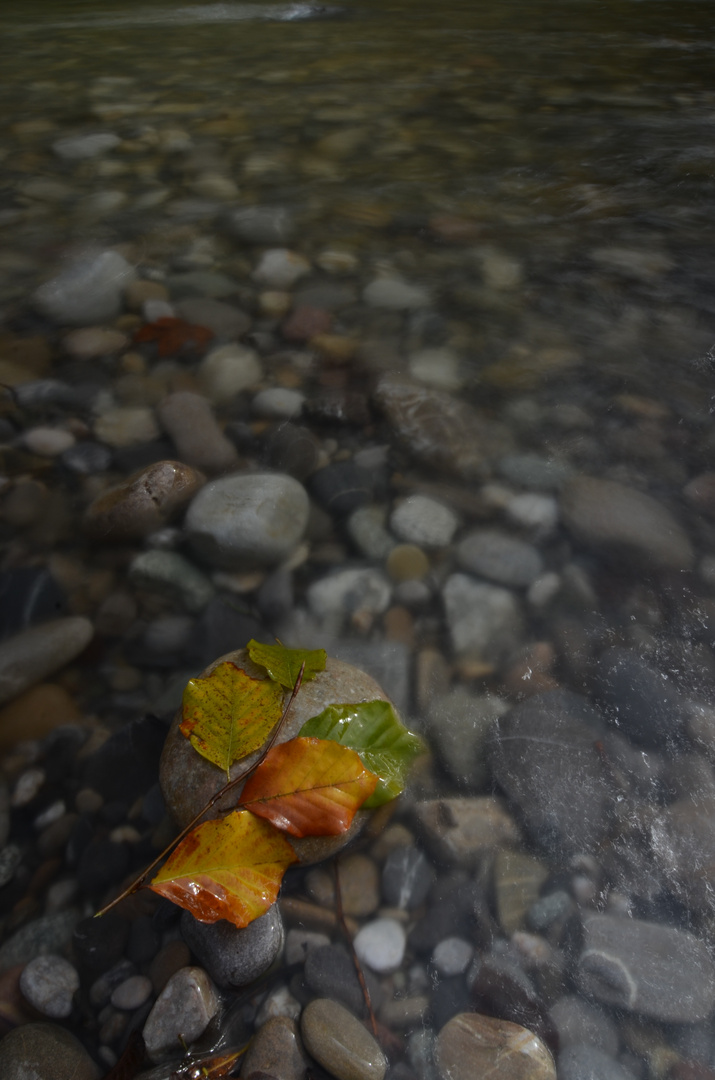 Herbststille