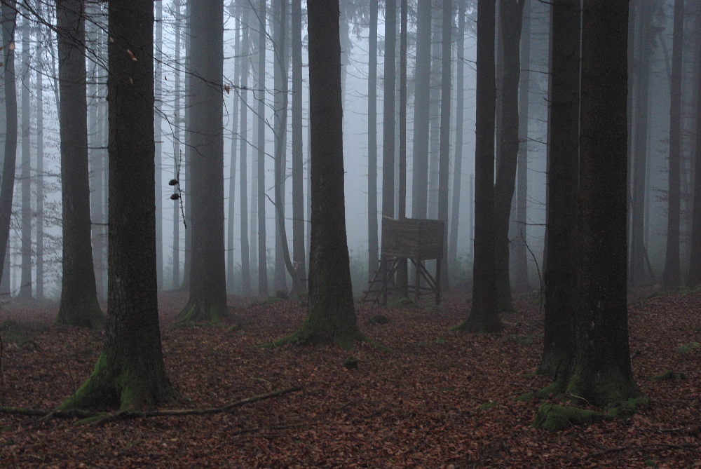 Herbststille