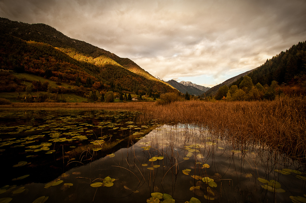 - Herbststille -