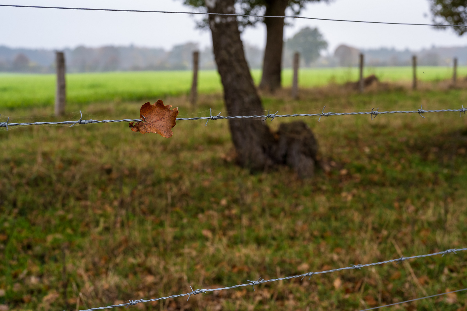 Herbststille