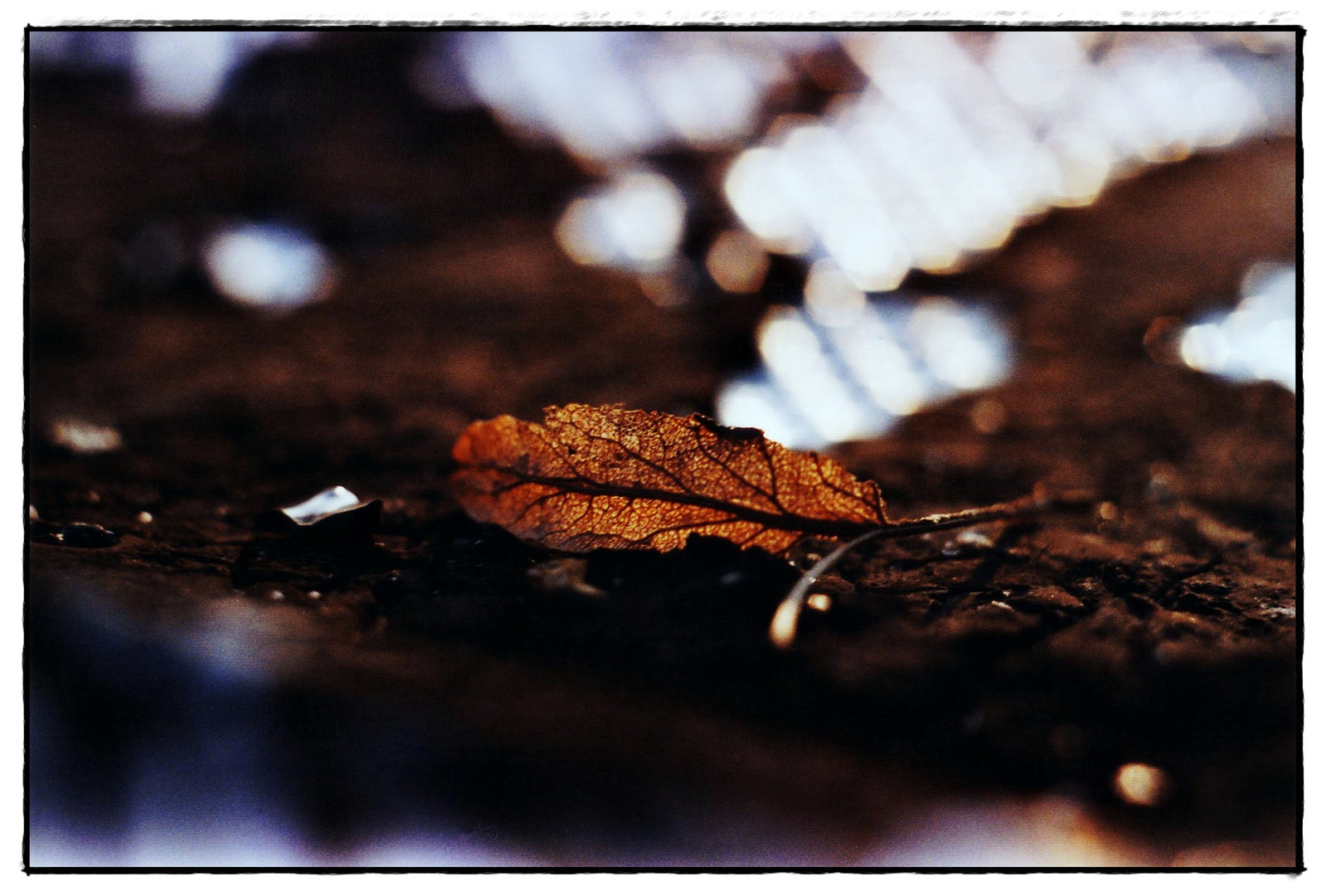 herbststille