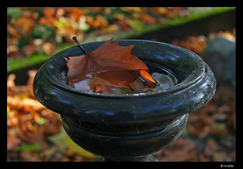 Herbststille