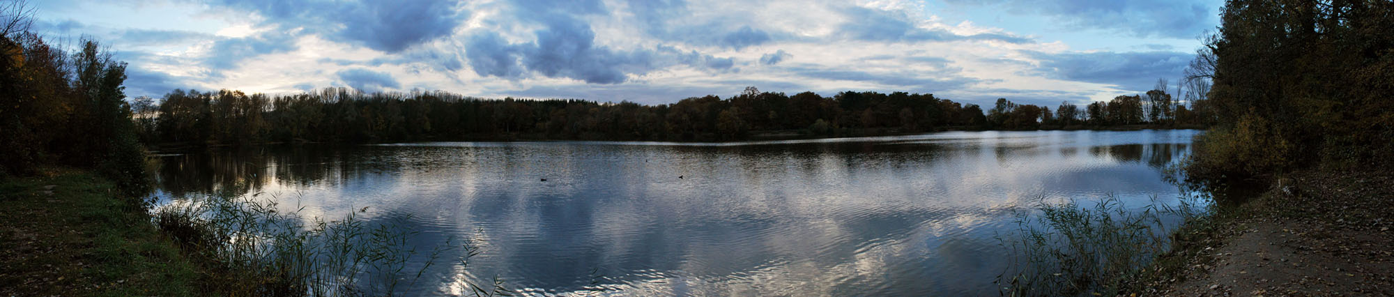 Herbststille am Niederwaldsee