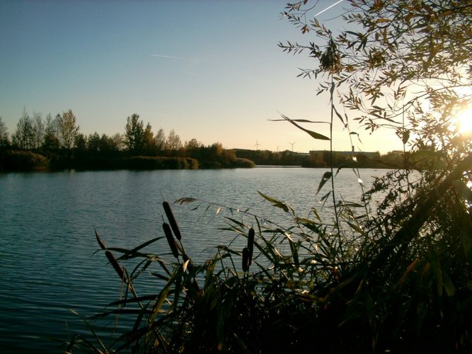 Herbststille am See