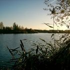 Herbststille am See