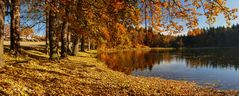 Herbststille am See