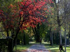 Herbststille