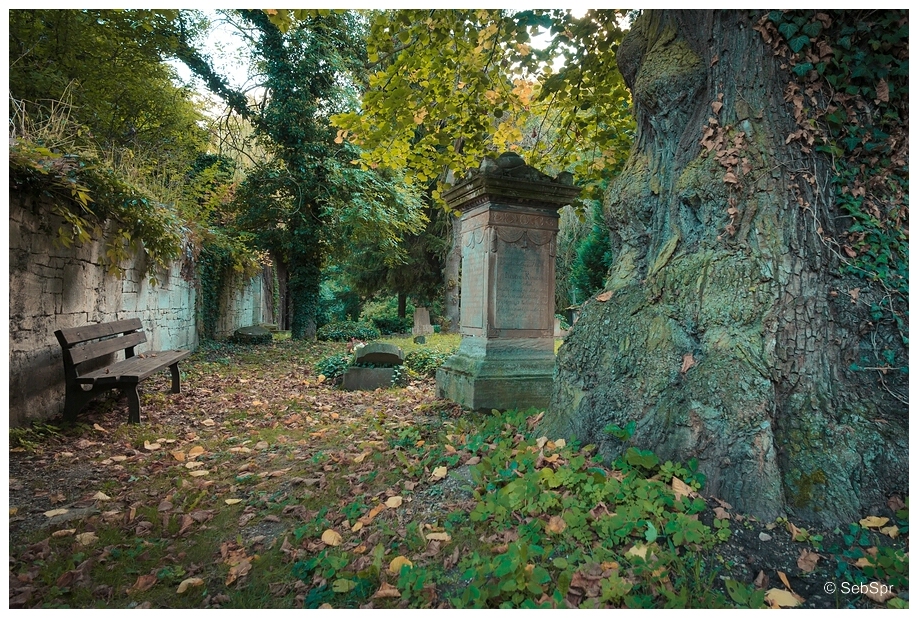 | Herbststille |