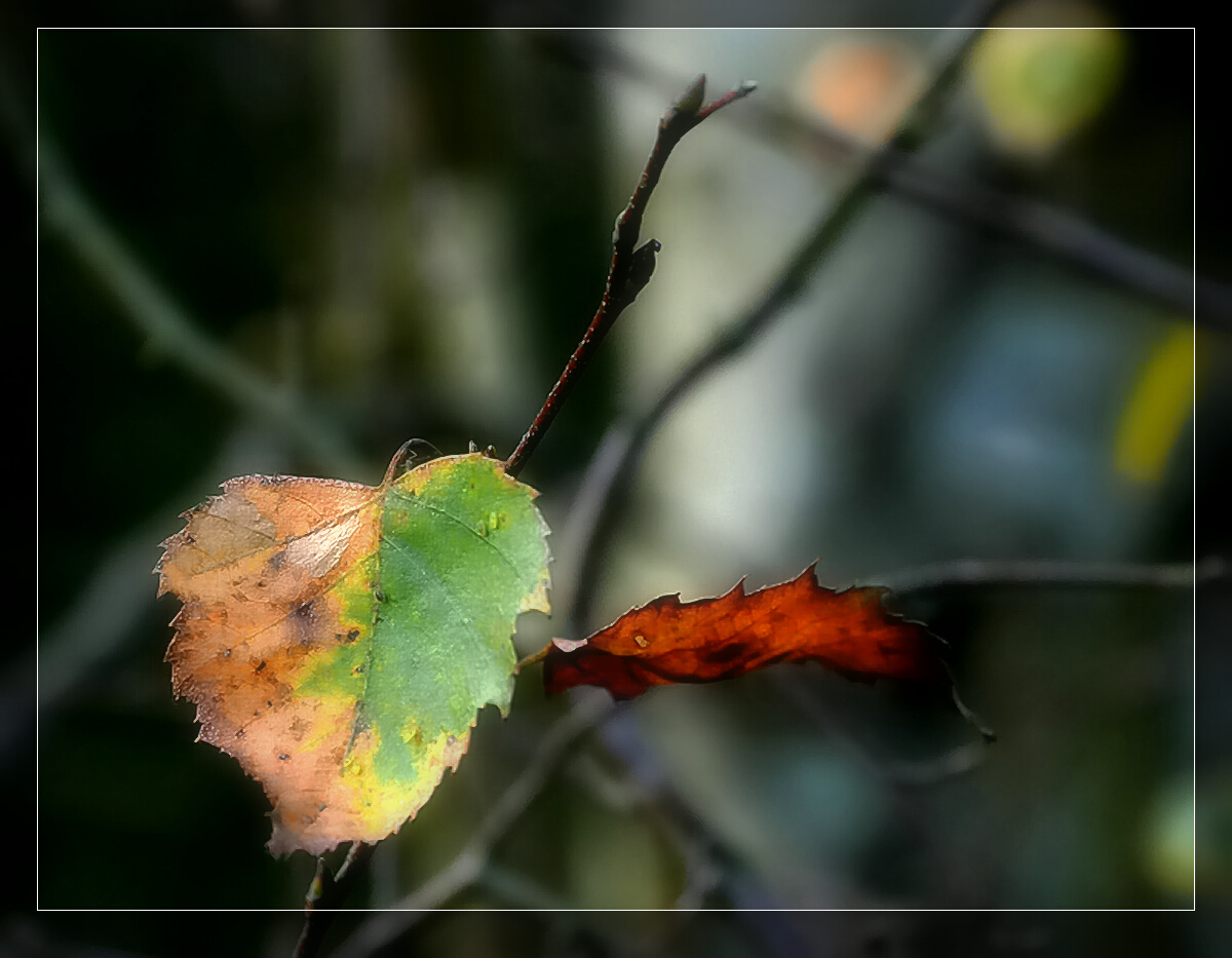 Herbststille