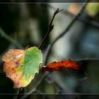 Herbststille