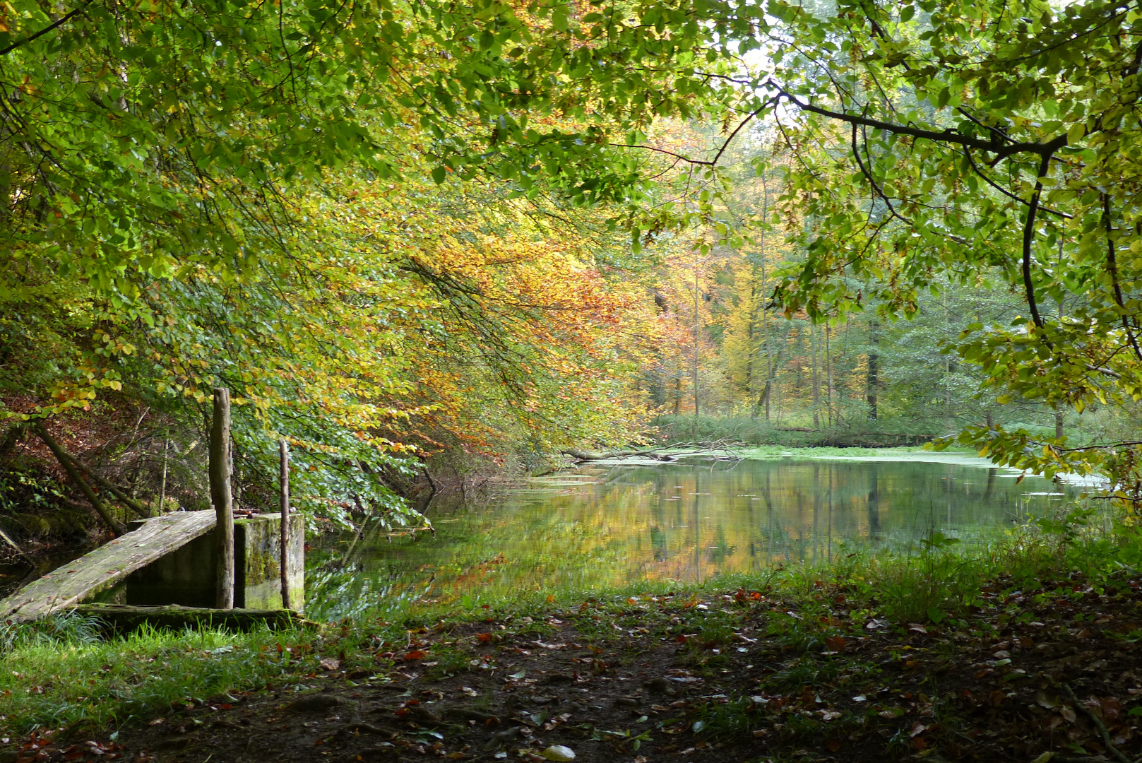 Herbststille im Ursprungstal