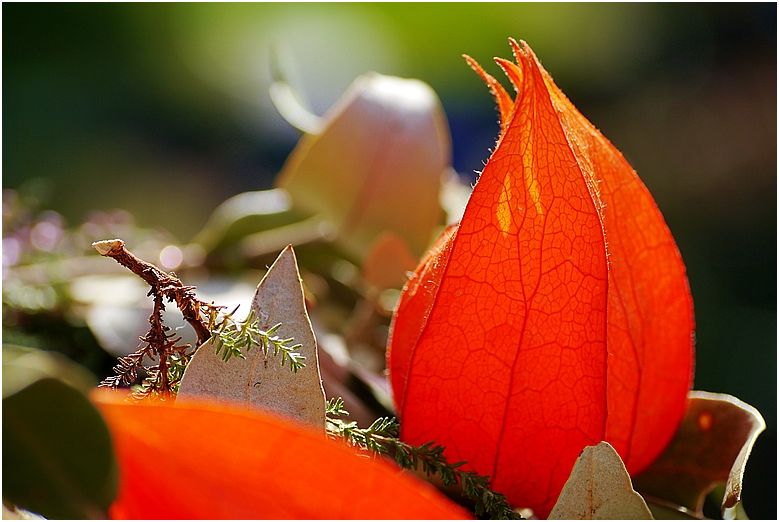 *Herbststilleben*