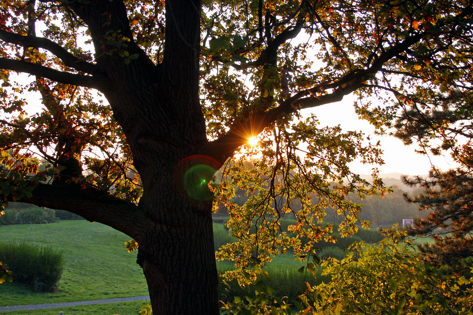 Herbststimmmung an der Galopprennbahn Castrop