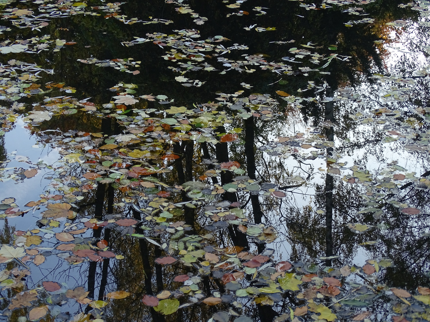 Herbststimmmung im Tiergarten