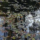 Herbststimmmung im Tiergarten