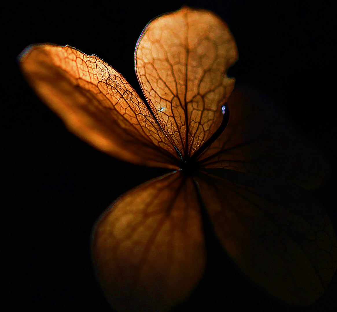 Herbststimmung