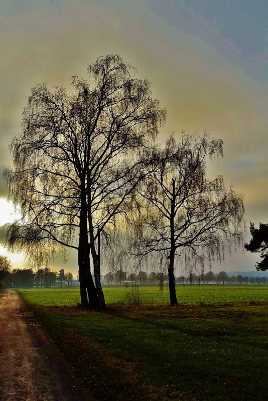 Herbststimmung