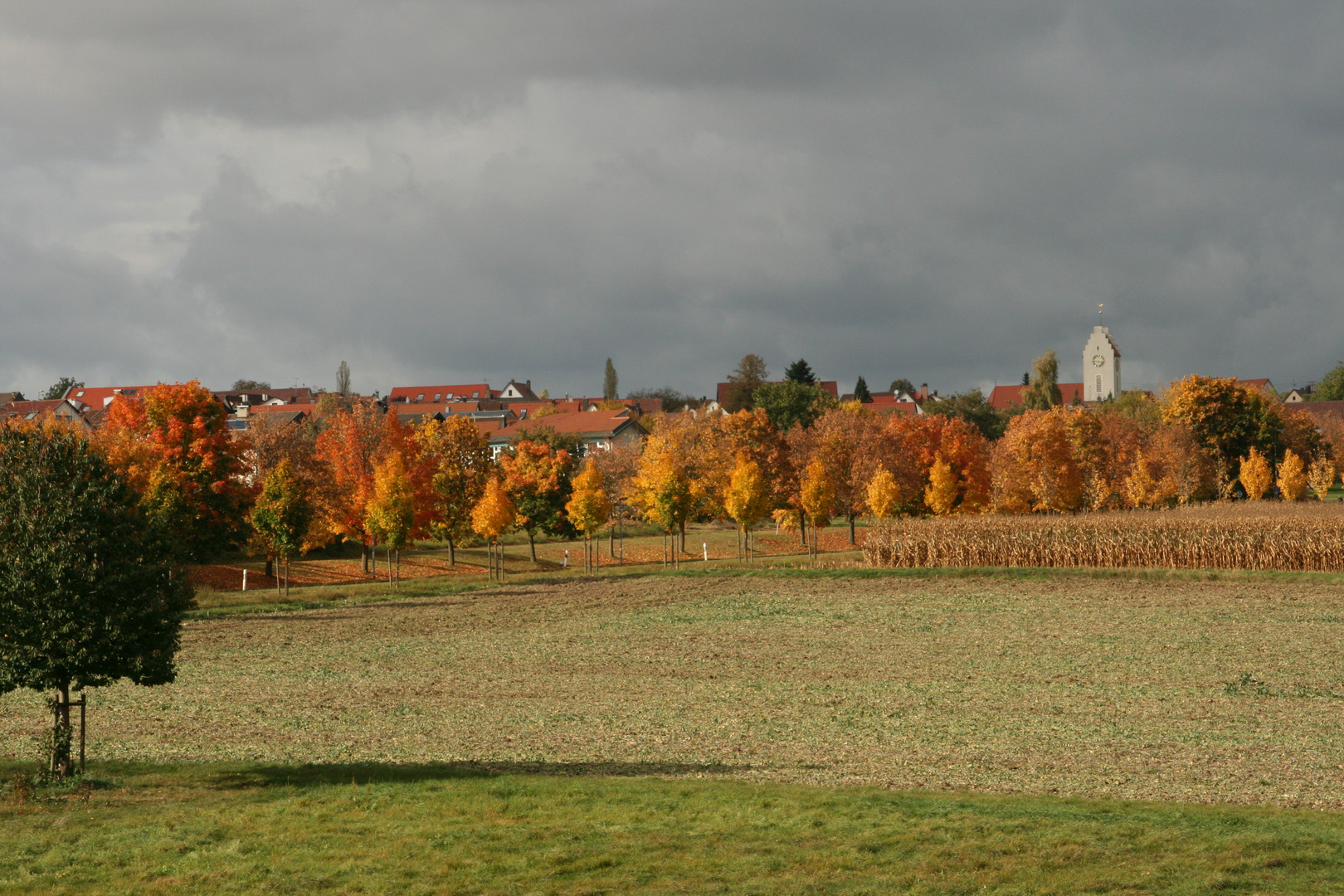 Herbststimmung