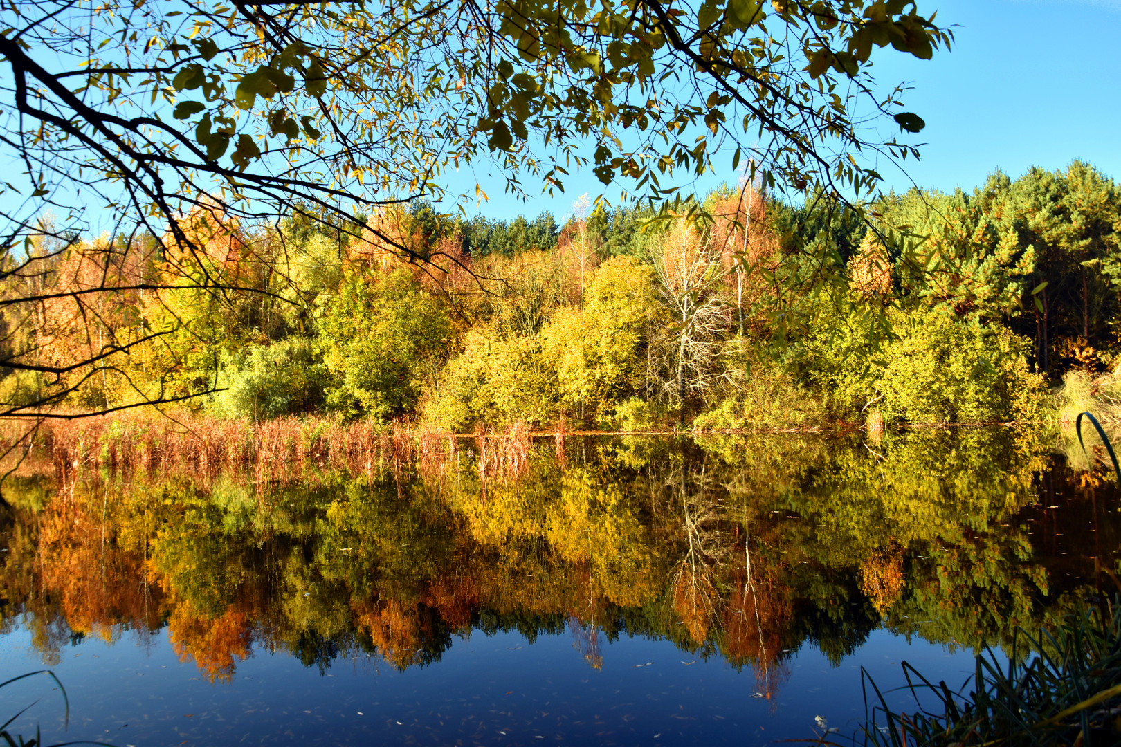 Herbststimmung