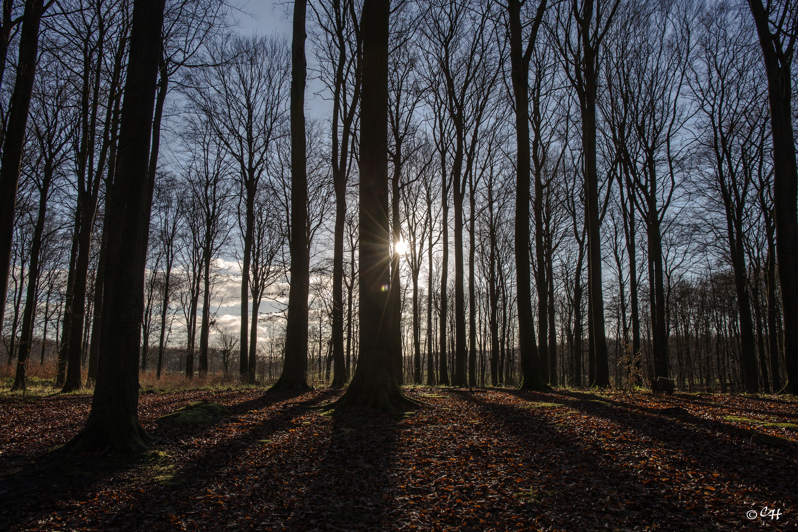 Herbststimmung