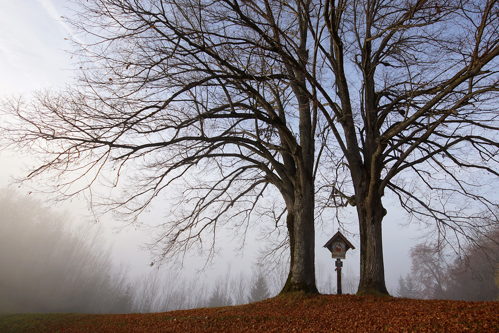 Herbststimmung