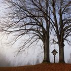 Herbststimmung