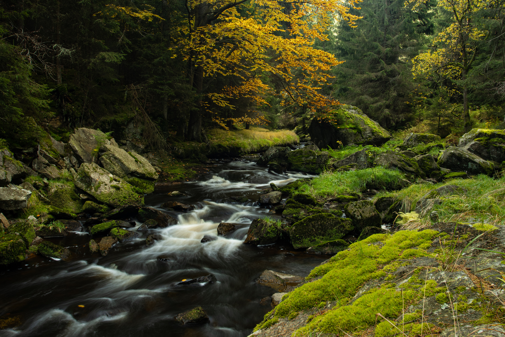 Herbststimmung