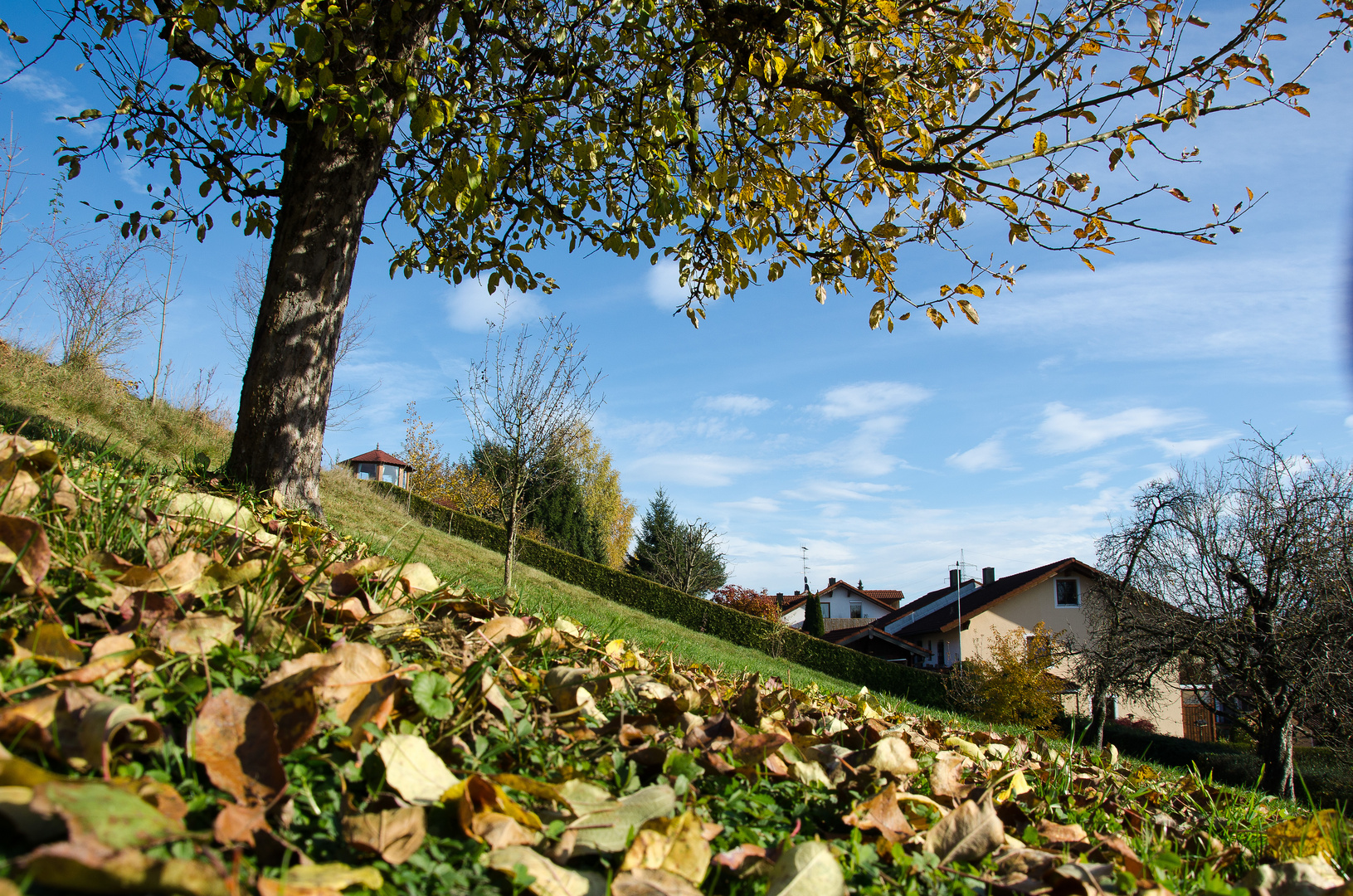 Herbststimmung