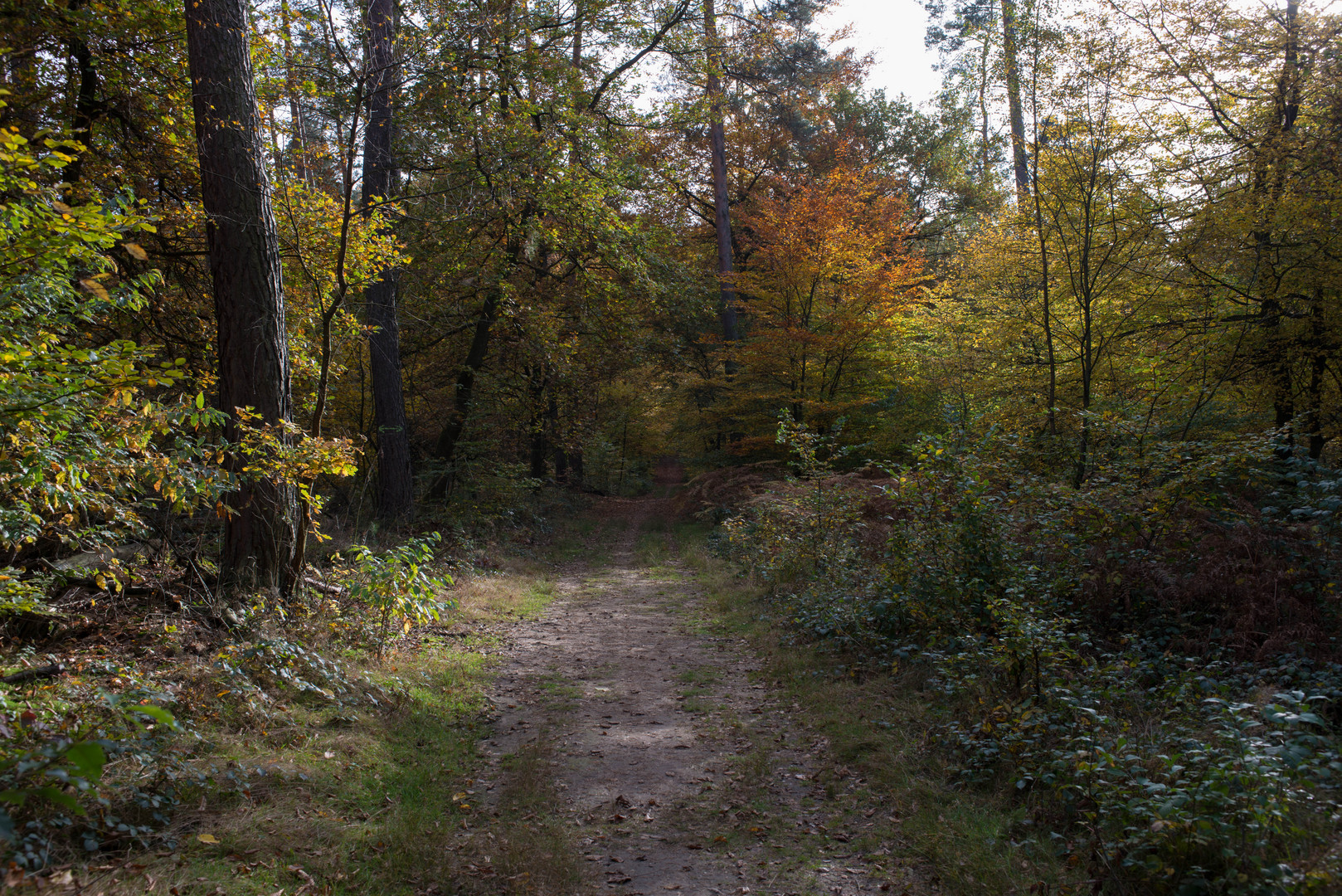 Herbststimmung