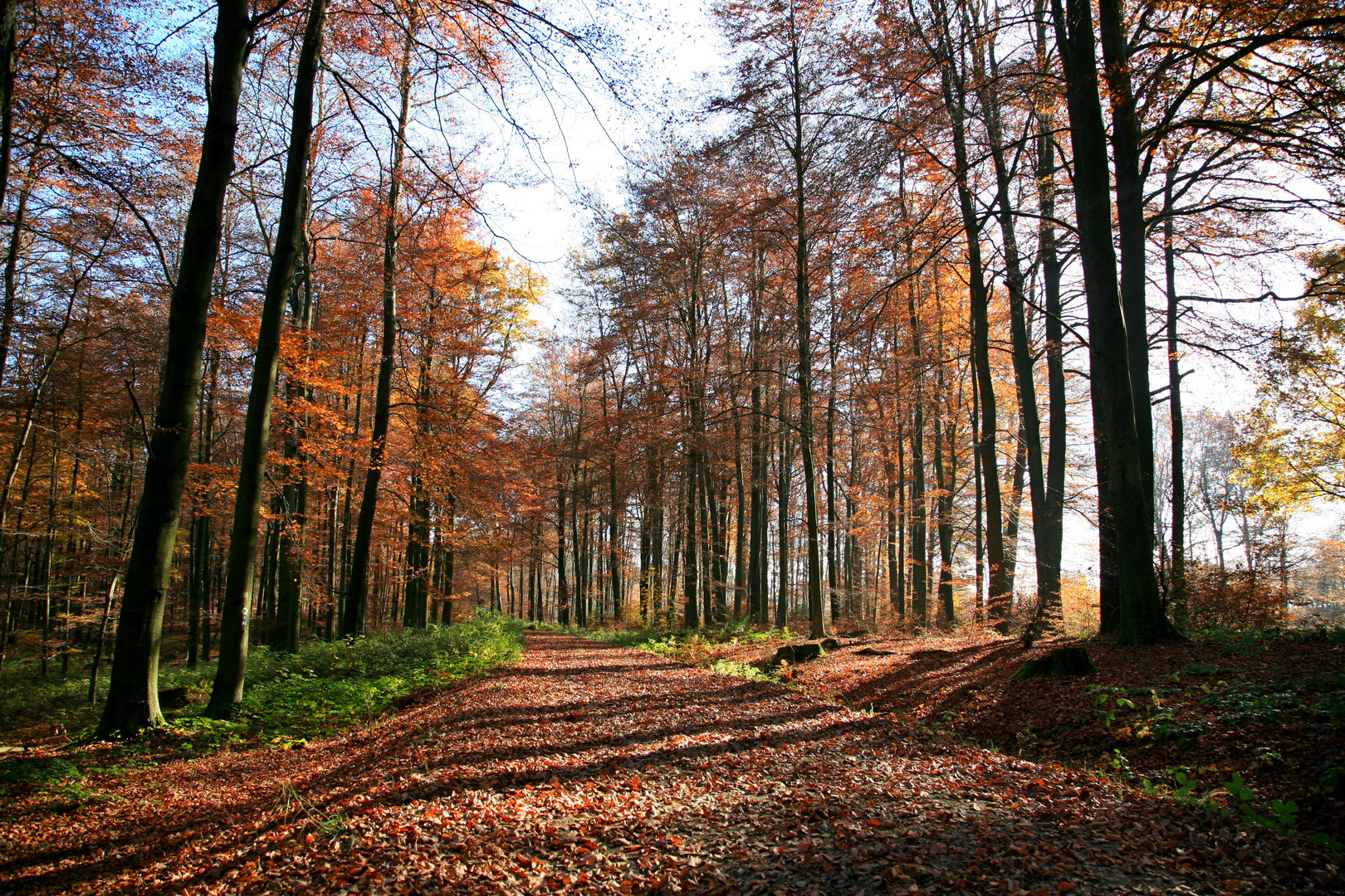 Herbststimmung